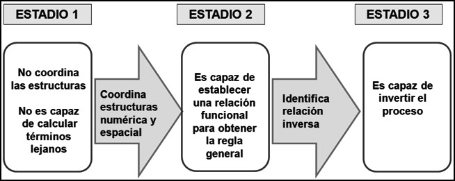 Estadios del proceso de generalización de patrones.