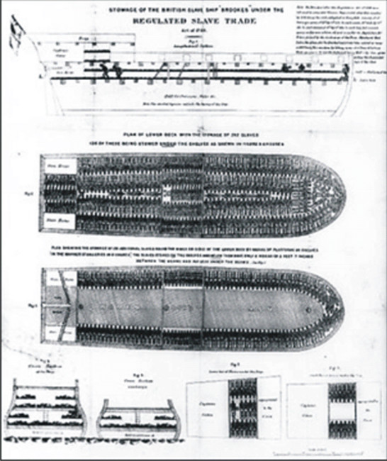 Plano do navio negreiro
britânico Brookes (1884)