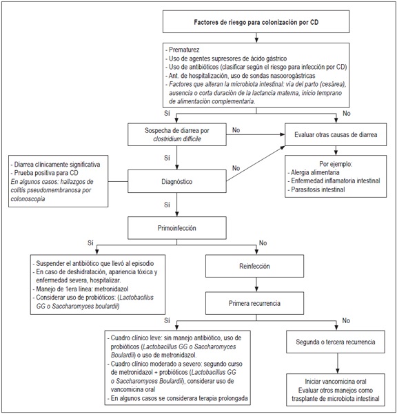 Propuesta
de los autores para abordaje del paciente con infecci&oacute;n por CD.