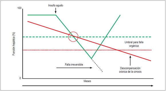 Falla
hep&aacute;tica aguda sobre cr&oacute;nica: representaci&oacute;n del concepto cl&iacute;nico