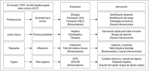 Concepto
PIRO de falla hep&aacute;tica aguda sobre cr&oacute;nica (ACLF)