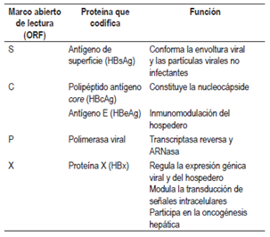 Marcos abiertos de lectura con sus respectivas prote&iacute;nas y funciones