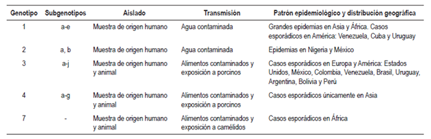 Caracter&iacute;sticas y distribuci&oacute;n de los genotipos del VHE que infectan humanos