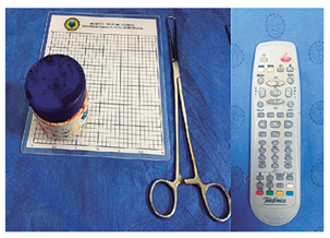 2. Cuerpo extraño de difícil agarre.