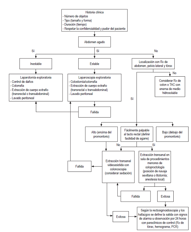 Algoritmo de manejo.