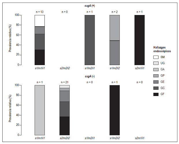 Prevalencia relativa de los hallazgos endosc&oacute;picos seg&uacute;n el genotipo de las cepas de H. pylori aisladas en estos pacientes. El 52,5% de pacientes estaba infectado por cepas de H. pylori vacA s2/m2/i2-cagA negativo relacionadas en su mayor&iacute;a con gastritis folicular. Se excluyeron pacientes con estatus cagA o genotipos de vacA diferentes entre el antro y el cuerpo. Sospecha de metaplasia (SM), &uacute;lcera g&aacute;strica (UG), gastritis atr&oacute;fica (GA), gastritis petequial (GP), gastritis erosiva (GE), gastritis cr&oacute;nica (GC) y gastritis folicular (GF).
