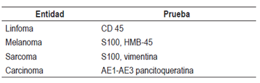 Primer paso con inmunohistoqu&iacute;mica