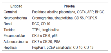 Segundo paso con inmunohistoqu&iacute;mica