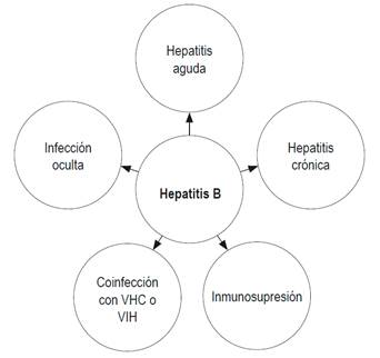 Escenarios para la serolog&iacute;a del VHB.