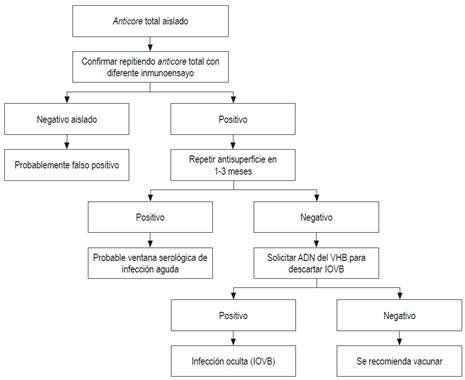 Evaluaci&oacute;n de anticore positivo. Modificado de: Pond&eacute; RA et al. Arch Virol. 2010;155(2):149-58.