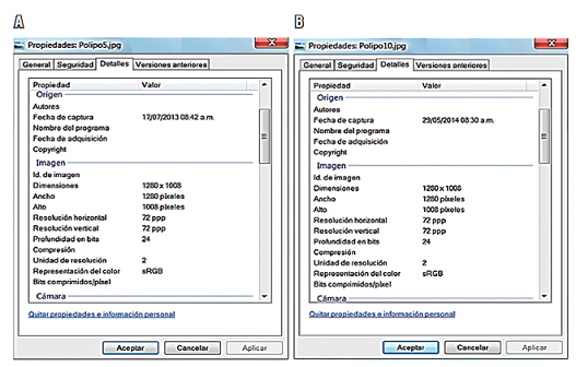 Dimensiones en p&iacute;xeles y profundidad en bits de dos fotograf&iacute;as diferentes
