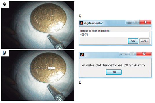 C&aacute;lculo del tama&ntilde;o en mil&iacute;metros de un objeto conocido. A. Objeto con tama&ntilde;o conocido (moneda de 100 pesos). B. Medida en p&iacute;xeles con la herramienta &ldquo;imdistline&rdquo;. C. Ventana para ingresar el valor en p&iacute;xeles. D. Ventana de resultado del di&aacute;metro del objeto en mil&iacute;metros.
