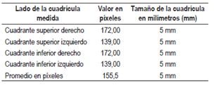 Valores en p&iacute;xeles de los cuadrantes de 5 mm