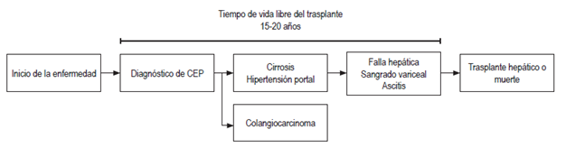 Historia natural de la colangitis esclerosante primaria. El CCA en pacientes con CEP con frecuencia se detecta dentro de los primeros 1 a 3 a&ntilde;os luego del diagn&oacute;stico inicial, a una edad media de 50 a&ntilde;os, y suele ocurrir primero que la cirrosis. CEP: colangitis esclerosante primaria.