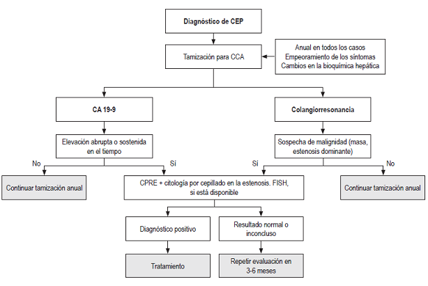 Diagn&oacute;stico de colangitis esclerosante primaria. CEP: colangitis esclerosante primaria; CCA: colangiocarcinoma; CPRE: colangiopancreatograf&iacute;a retr&oacute;grada endosc&oacute;pica; FISH: hibridaci&oacute;n fluorescente in situ.