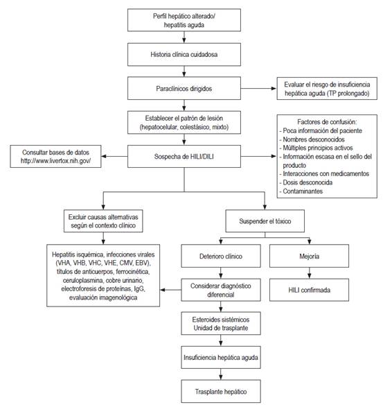 Algoritmo de aproximaci&oacute;n y manejo a la HILI. CMV: citomegalovirus; IgG: inmunoglobulina G; TP: tiempo de protrombina.