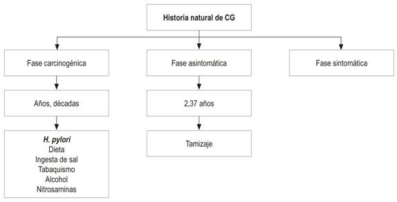Factores de riesgo para CG. Tomado de: Park JY et al. Clin Endosc. 2014;47(6):478-89.