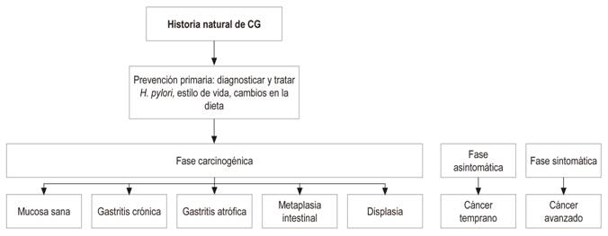 Estrategias de prevenci&oacute;n primaria de CG. Tomado de: Lee YC et al. Gut Liver. 2016;10(1):12-26.