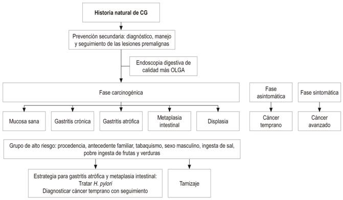 Estrategias de prevenci&oacute;n secundaria dentro de la historia natural del CG.