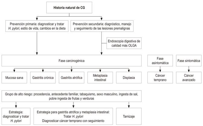 Resumen de las estrategias de prevenci&oacute;n primaria y secundaria. Historia natural del CG.