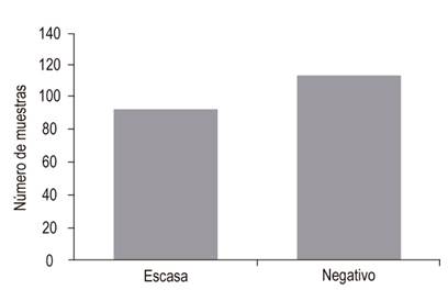 Cantidad de H. pylori en la coloraci&oacute;n de WS. La coloraci&oacute;n especial de WS detect&oacute;, en su mayor&iacute;a, cantidades escasas del bacilo en las biopsias previamente negativas para HE. WS: tinci&oacute;n de Warthin-Starry