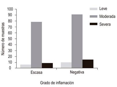 Relaci&oacute;n del grado de inflamaci&oacute;n con la cantidad de H. pylori presente en la coloraci&oacute;n de la WS. Del total de las 94 muestras que fueron positivas para WS, el 84 % (79) presentaron un grado de inflamaci&oacute;n moderado, un 9,6 % (9) mostr&oacute; un grado de inflamaci&oacute;n severa y un 6,4 % (6) un grado de inflamaci&oacute;n leve.