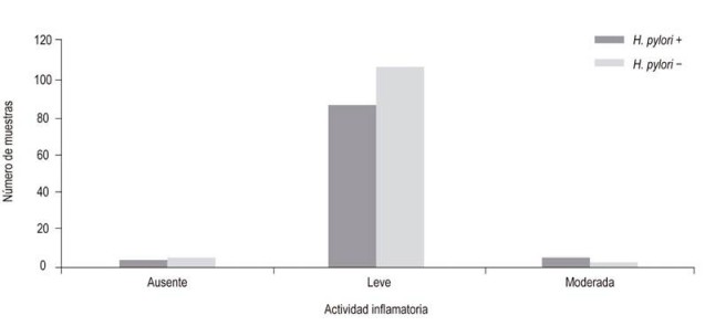 Presencia de H. pylori en la coloraci&oacute;n de la WS de acuerdo con la actividad inflamatoria. Se identific&oacute; que el 91 % (84) de las muestras positivas por WS presentaron una actividad inflamatoria leve, en comparaci&oacute;n con 107 muestras negativas.