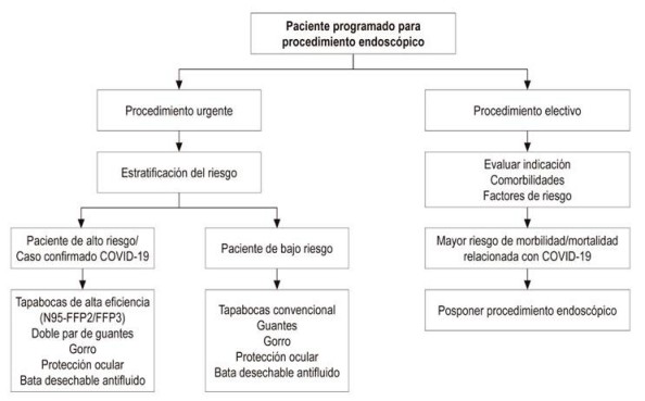 Flujograma de toma de decisiones para procedimientos endosc&oacute;picos en pandemia de COVID-19. Adaptado de 49