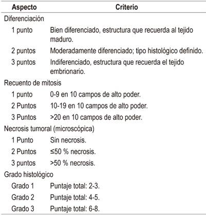 Par&aacute;metros de clasificaci&oacute;n de sarcomas de la FNCLCC