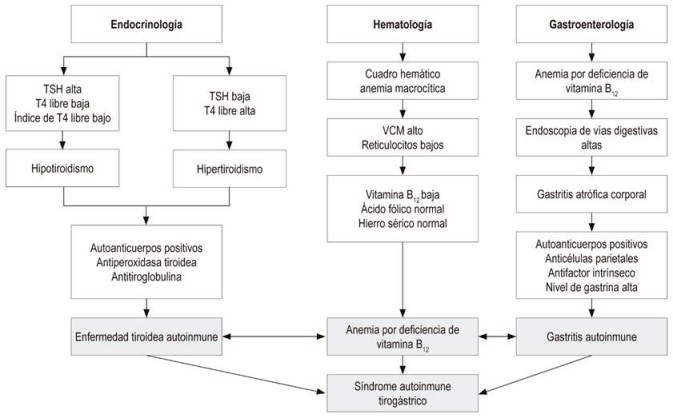 Diagn&oacute;stico del s&iacute;ndrome autoinmune tirog&aacute;strico