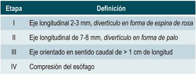 Clasificaci&oacute;n de Brombart (tama&ntilde;o y morfolog&iacute;a de los divert&iacute;culos) 14