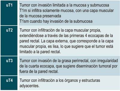 Estadificaci&oacute;n por USE del c&aacute;ncer rectal (clasificaci&oacute;n uT)