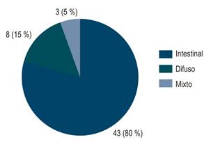 Distribuci&oacute;n de los tumores de acuerdo con el histotipo seg&uacute;n la clasificaci&oacute;n de Lauren.