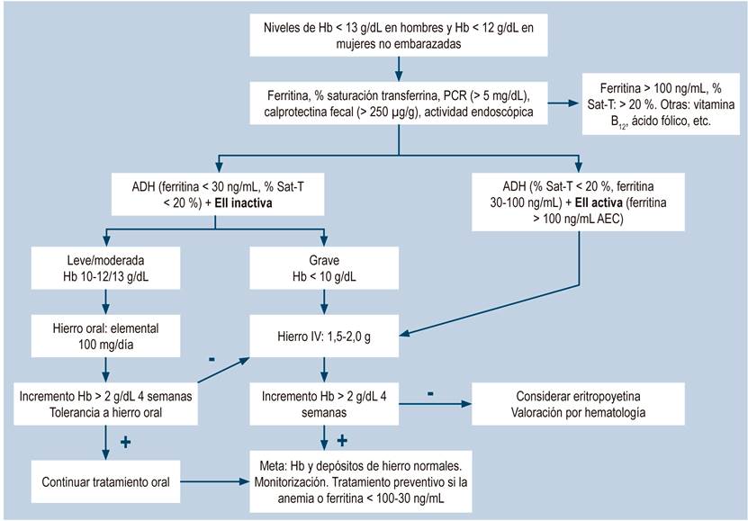 Algoritmo manejo anemia en EII. Sat-T: saturaci&oacute;n de transferrina.