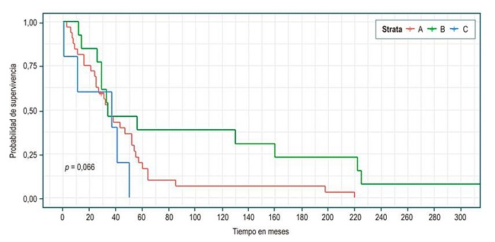 Curvas de supervivencias por Child - Kaplan Meier.