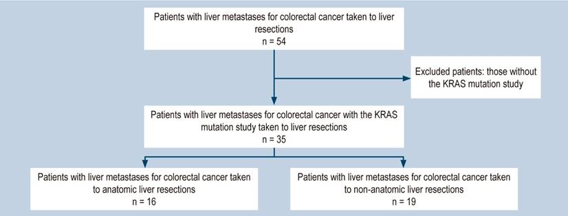 Flowchart of patients with liver resections for colorectal cancer 2009-2013. Source: Authors&rsquo; own research.