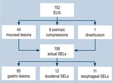 Studies performed, patients excluded, and the number of studies by anatomical location. SELs: subepithelial lesions; EUS: endoscopic ultrasound. Image owned by the authors.
