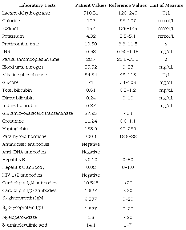 Laboratory Report