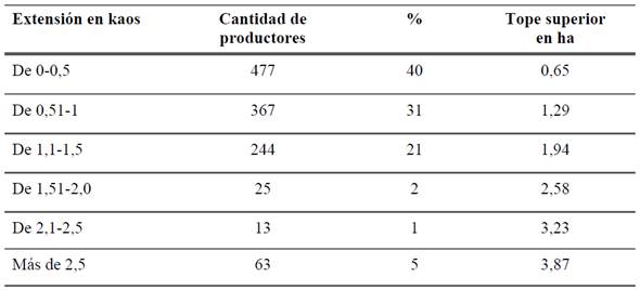 Tamaño de propiedades agrícolas en Departamento Central