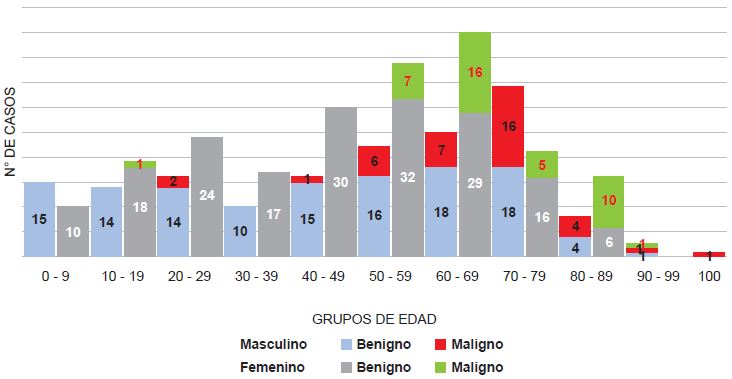 Frecuencia de lesiones cutaneas benignas y malignas, seg�n edad y sexo, en 385 pacientes (HBT 2018-2019).