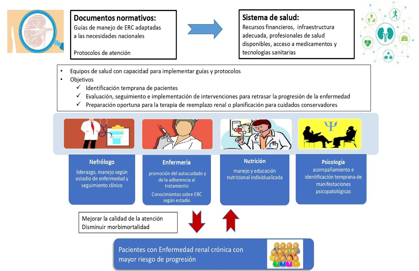 Equipo multidisciplinario en enfermedad renal crónica