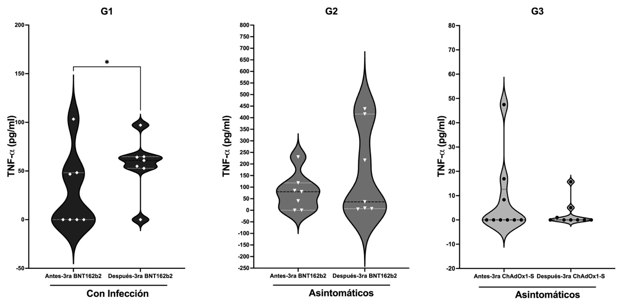 TNF-α antes y después de la tercera dosis de vacunación. Concentración de TNF-α (pg/ml) mediante ELISA en suero obtenido antes y después de la tercera dosis de vacunación. Donde G1, n=07 luego de 0 a 4 meses de haber tenido infección recibieron tercera dosis de la vacuna BNT162b2; G2, n=08 al momento de la tercera dosis de la vacuna BNT162b2 no tenían infección (asintomáticos) y G3, n=10 al momento de la tercera dosis de la vacuna ChAdOx1-S no tenían infección (asintomáticos). Significancia estadística si * p<0,05, Prueba t pareada. Se representa la línea mediana de concentración de TNF-α y los límites superior e inferior representan el intervalo de confianza al 95% en gráficos de violín.