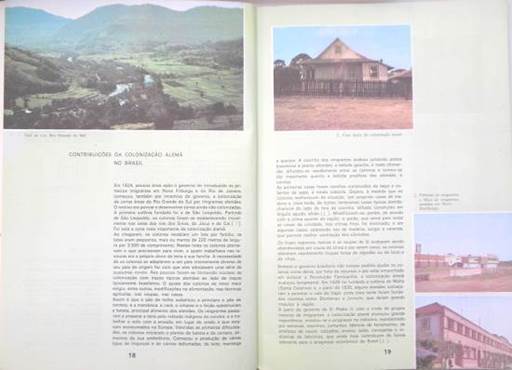 Figura 1 