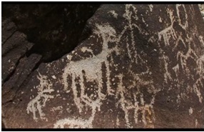 Dibujos realizados por los pastores precolombinos
  en el desierto