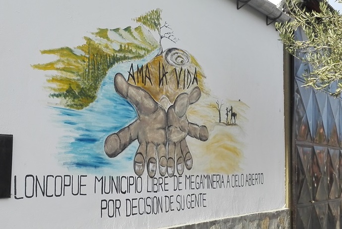 Imagen 4:
