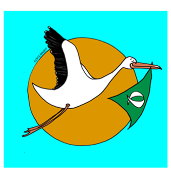 Arroquy para el suplemento Las 12 sobre el debate por el aborto.