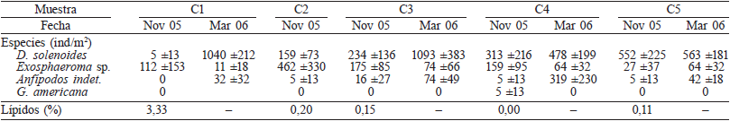 DENSIDAD (ind/m2) DE LOS INVERTEBRADOS ENCONTRADOS EN LAS MUESTRAS DE BENTOS Y PORCENTAJE DE L&Iacute;PIDOS EN EL SEDIMENTO MUESTREADO EN NOVIEMBRE 2005