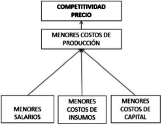 Bases de la competitividad precio-costo. Basado en Bianco (2007).