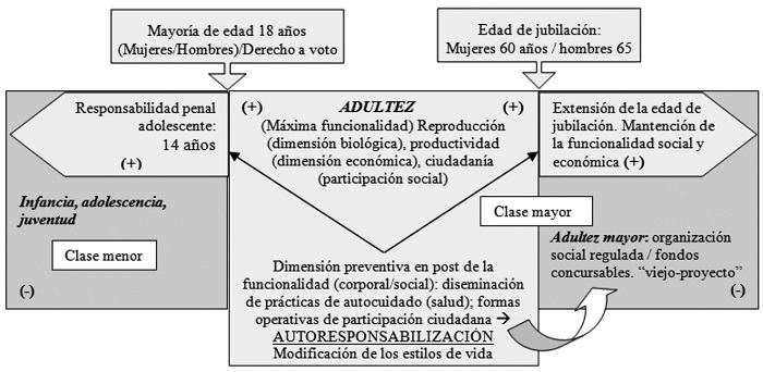 Extensión de la adultez y funcionalidad.