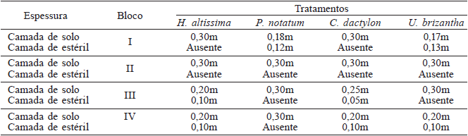 ESPESSURA DA CAMADA DE SOLO E ESTÉRIL PRESENTE NOS DIFERENTES BLOCOS E TRATAMENTOS DO SOLO CONSTRUÍDO EM CANDIOTA, ATÉ A PROFUNDIDADE DE 0,30m